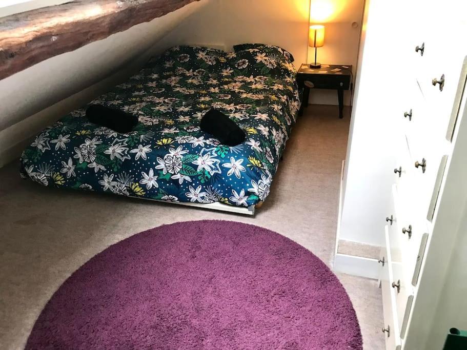 Lovely Duplex In The Center Of フォンテーヌブロー エクステリア 写真